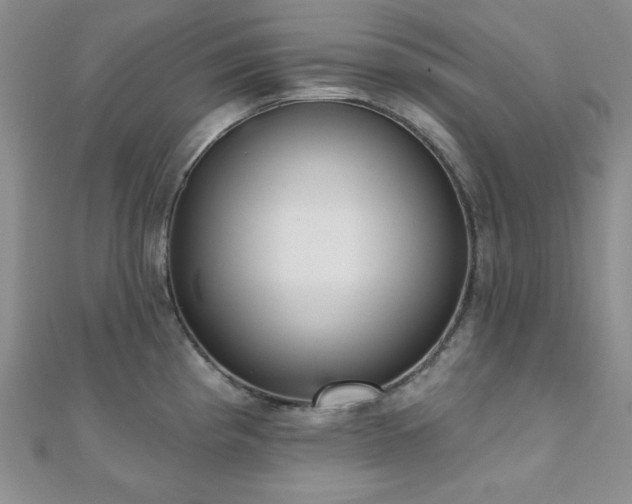 X0000110921193200906181402