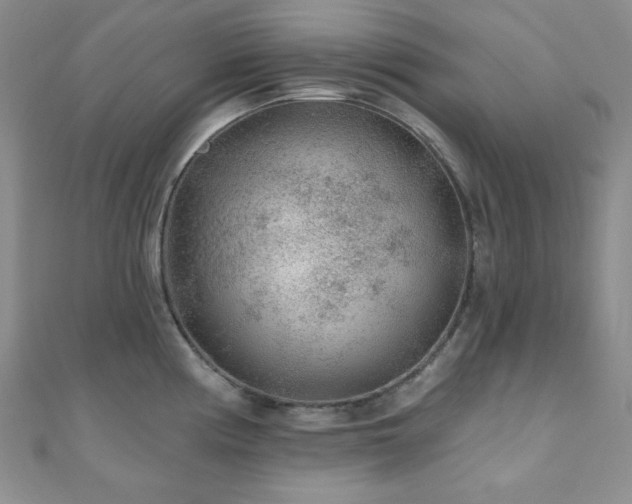 X0000110921194200906181402