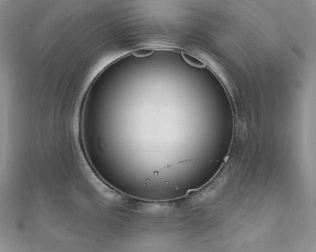 X0000110921195200906181402