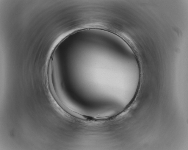 X0000110921200200906181402