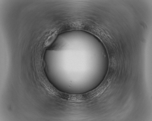 X0000110921201200906181401