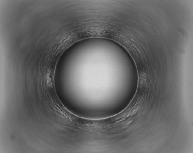 X0000110921202200906181401