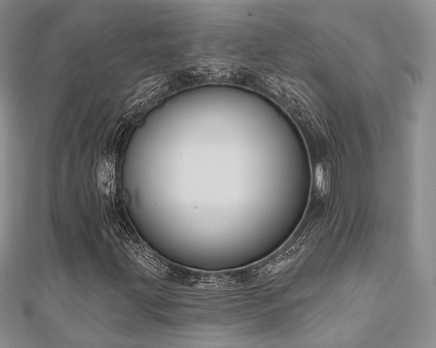X0000110921203200906181401