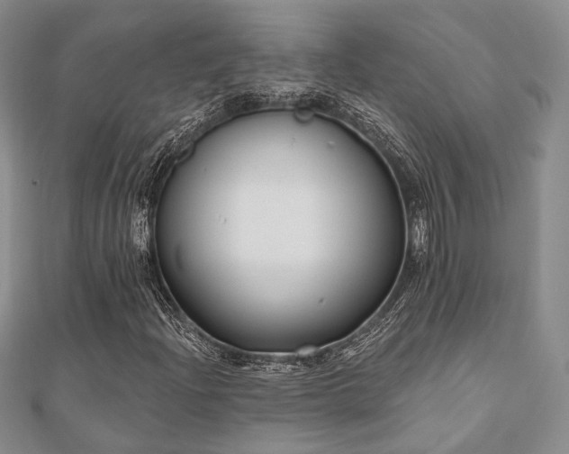 X0000110921204200906181401