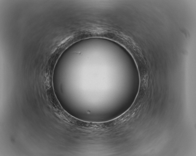 X0000110921205200906181401