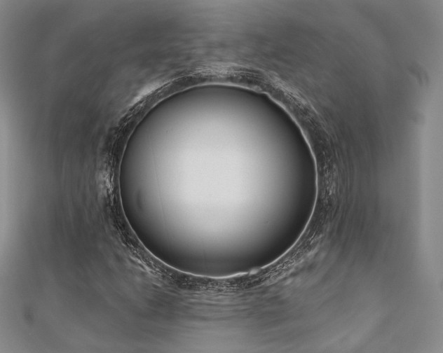 X0000110921206200906181401