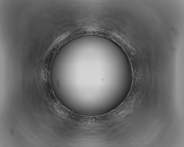 X0000110921207200906181401