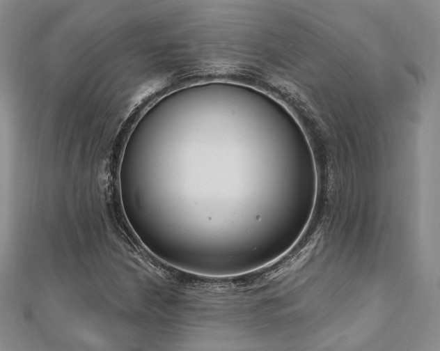 X0000110921210200906181401