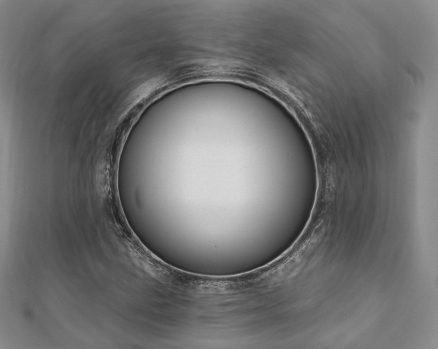 X0000110921211200906181401