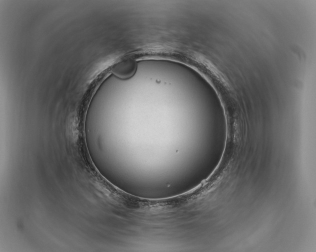 X0000110921213200906181401