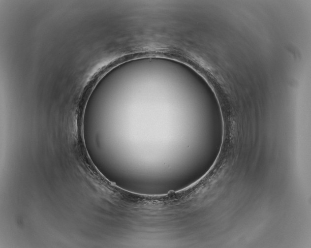 X0000110921214200906181401