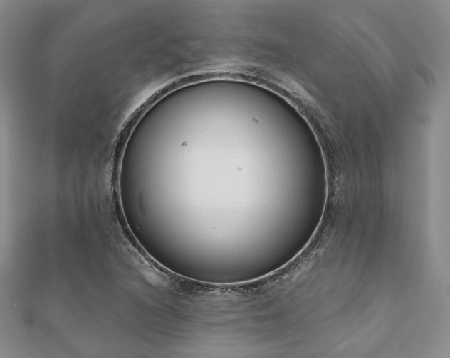 X0000110921216200906181401