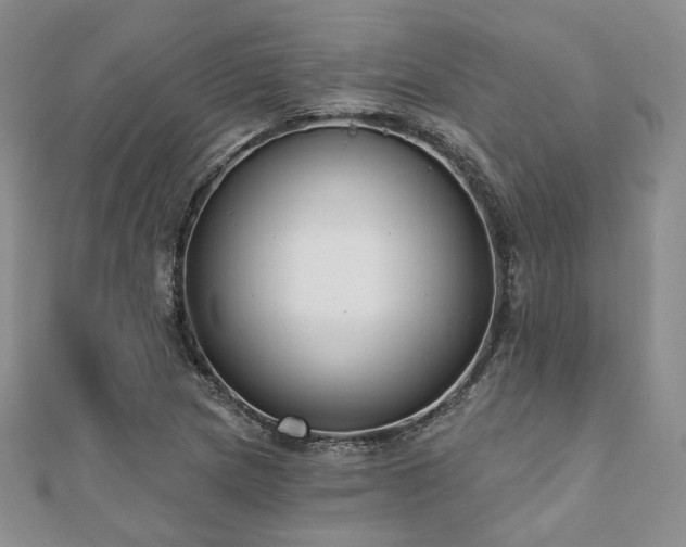 X0000110921217200906181401