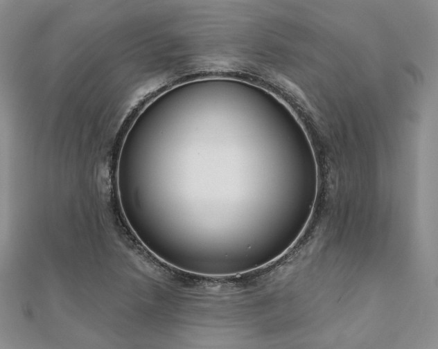 X0000110921218200906181401
