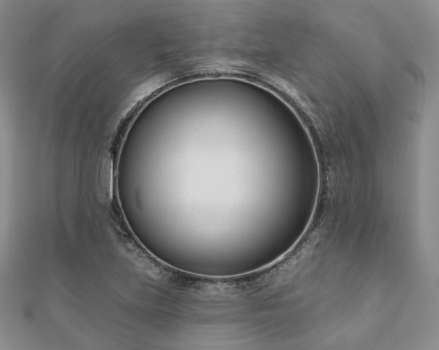 X0000110921219200906181401