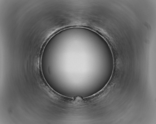 X0000110921220200906181401