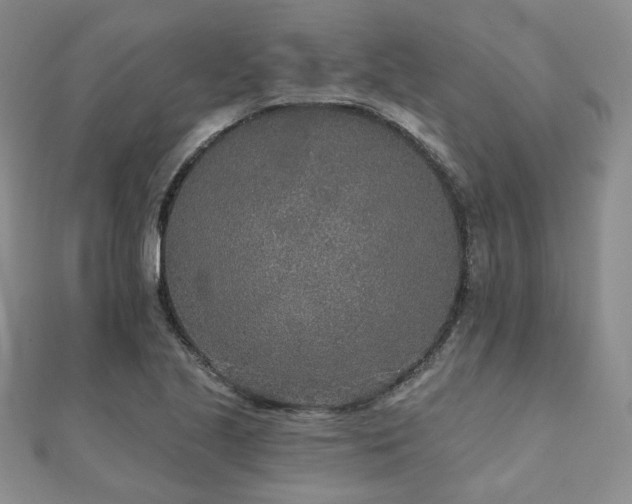 X0000110921221200906181402
