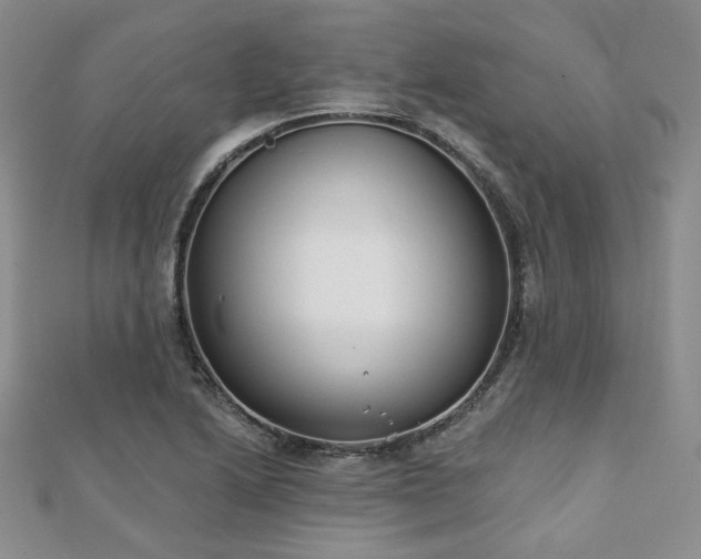 X0000110921222200906181402