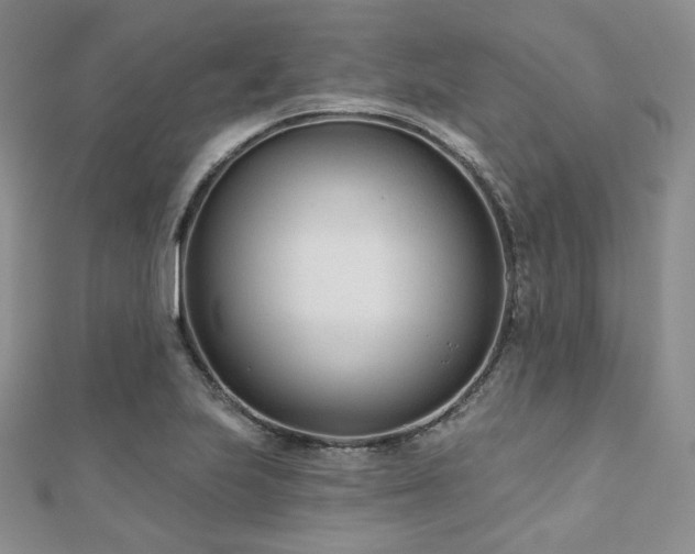 X0000110921223200906181402
