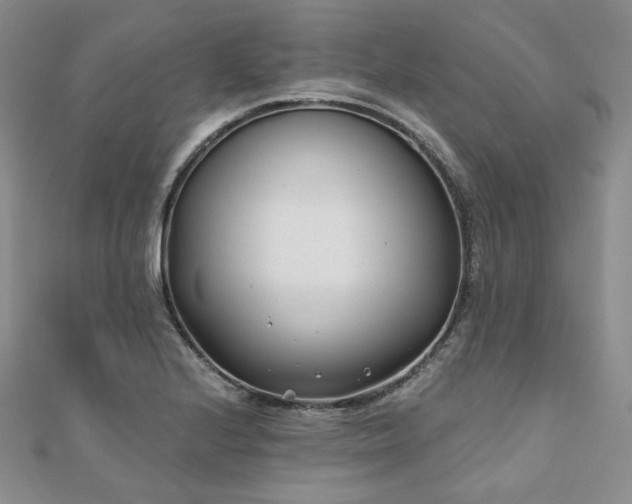 X0000110921224200906181402