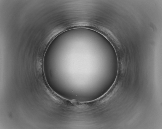 X0000110921225200906181402