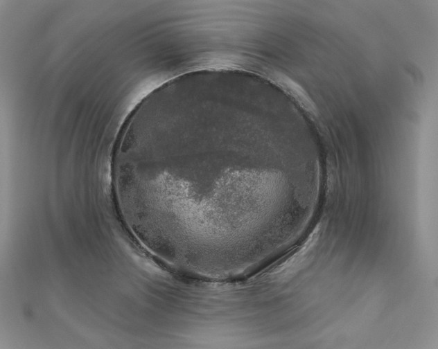 X0000110921226200906181402