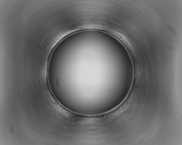 X0000110921228200906181402