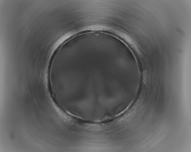 X0000110921229200906181402