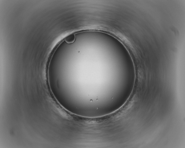 X0000110921230200906181402