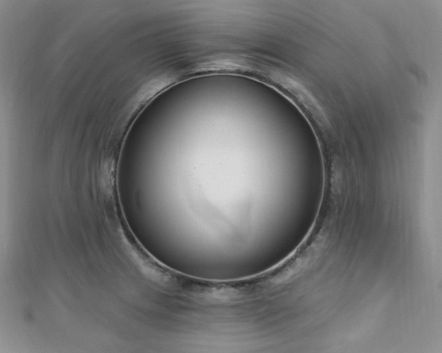 X0000110921233200906181402