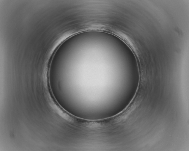 X0000110921235200906181402