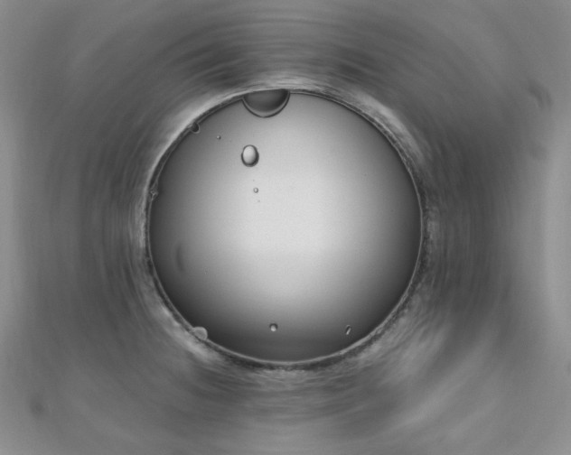 X0000110921236200906181402