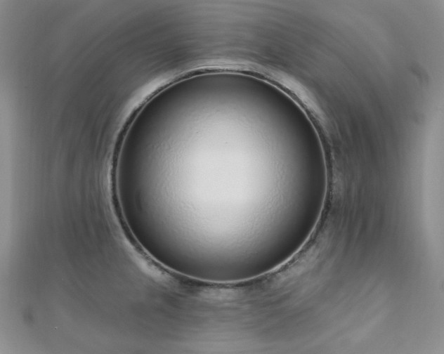 X0000110921237200906181402
