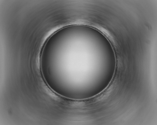 X0000110921238200906181402