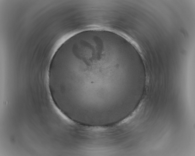 X0000110921239200906181402