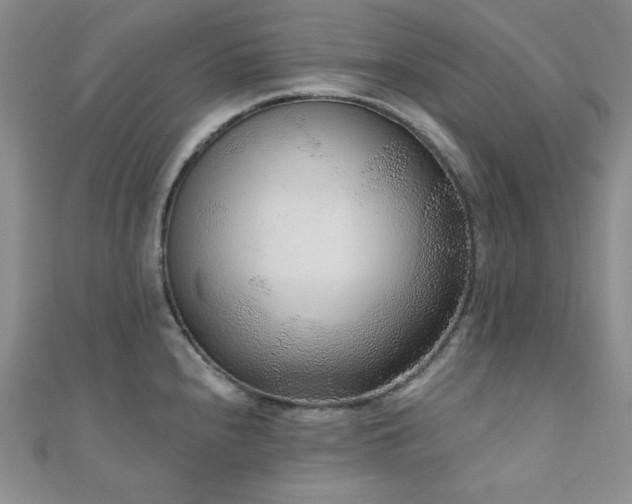 X0000110921240200906181402