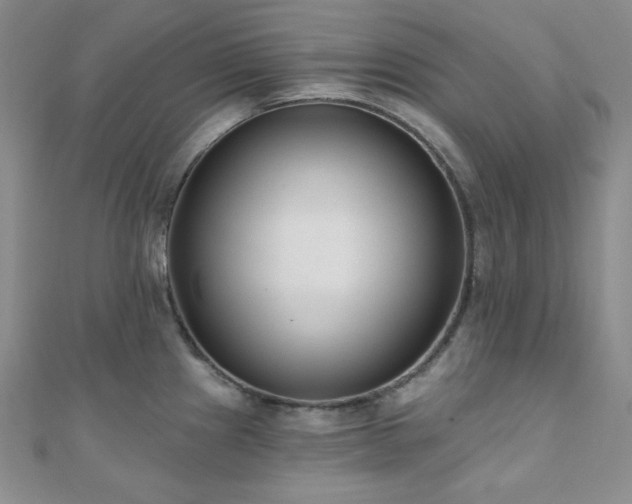 X0000110921241200906181402