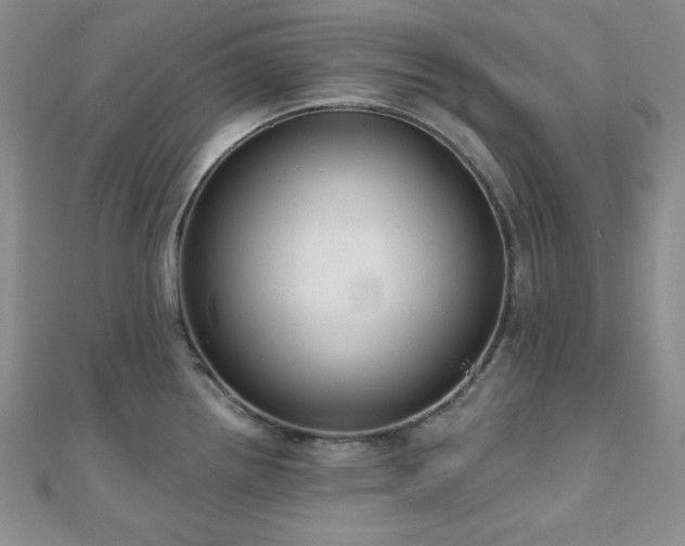 X0000110921242200906181402
