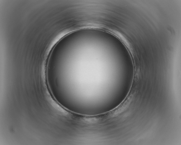 X0000110921243200906181402