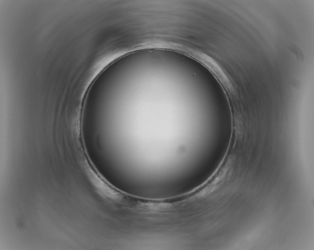 X0000110921244200906181402