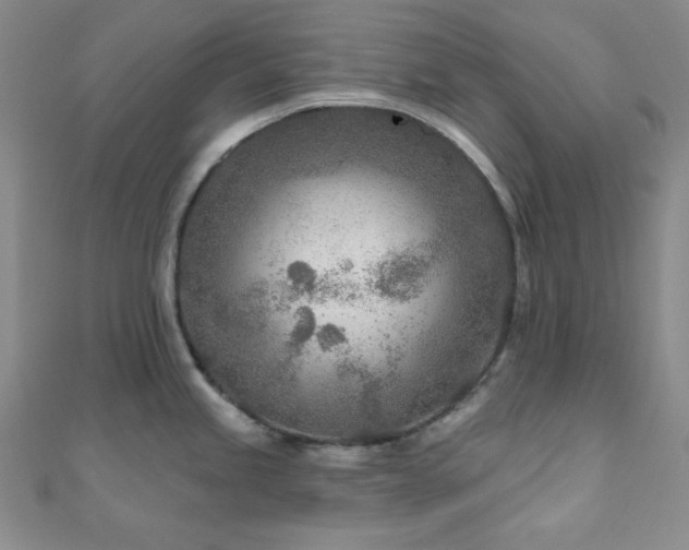 X0000110921245200906181402