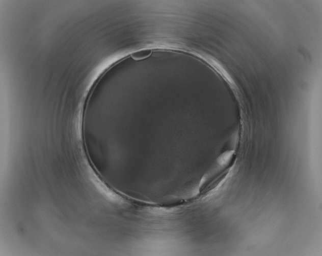 X0000110921246200906181402