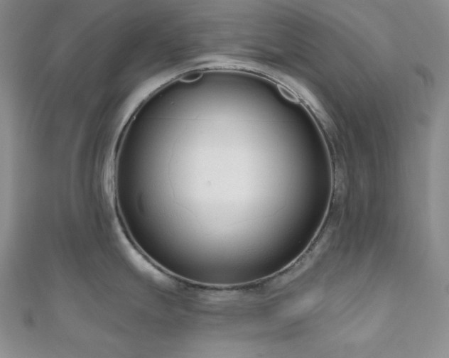 X0000110921247200906181402