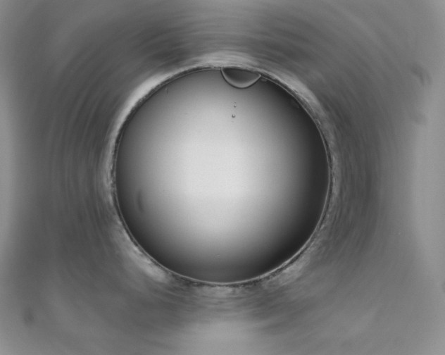 X0000110921248200906181402