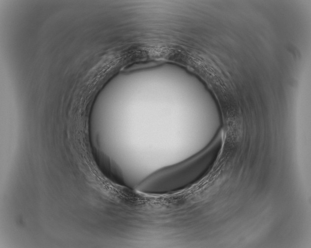 X0000110921249200906181401