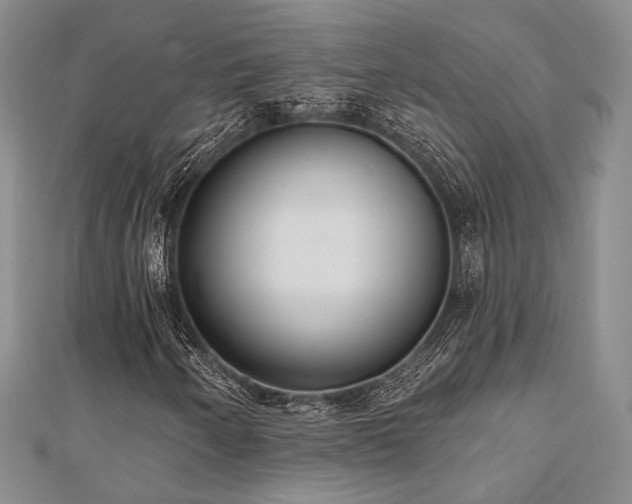 X0000110921250200906181401