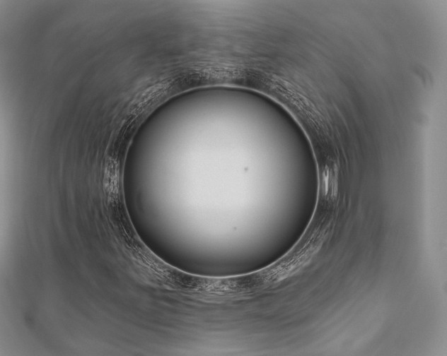 X0000110921251200906181401