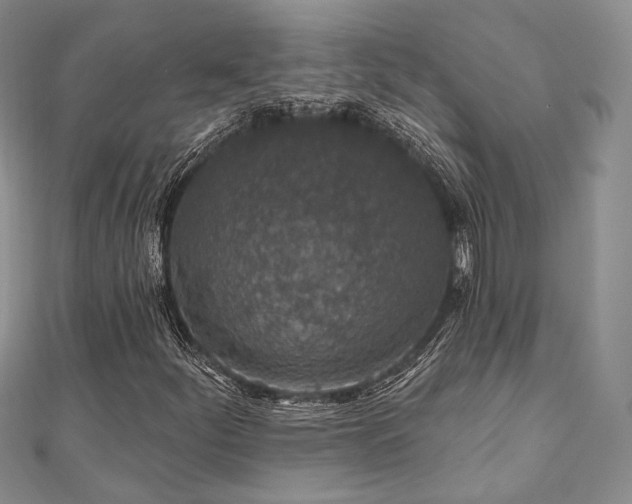 X0000110921252200906181401