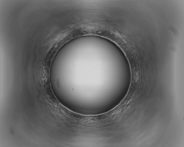 X0000110921253200906181401