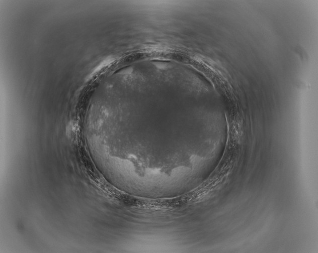 X0000110921254200906181401